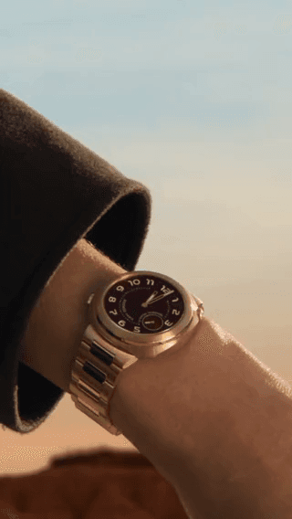 Hermès: a gold wristwatch on a wrist against a pale sky